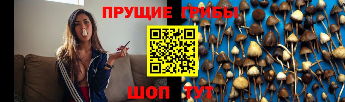 Галлюциногенные грибы Psilocybe  где можно купить наркотик  Когалым  Галлюциногенные грибы MAGIC MUSHROOMS  Вход с VPN 